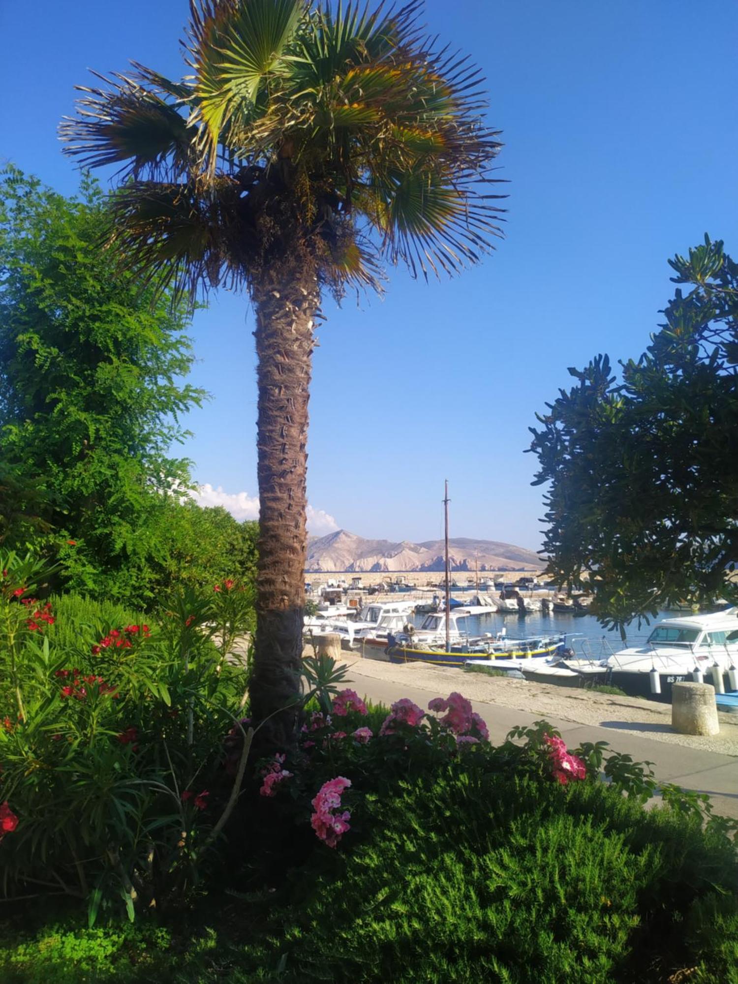 Anchor Baska Apartment Bagian luar foto